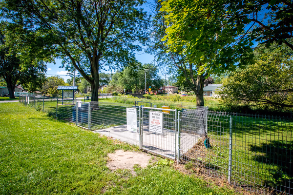 Dog Park at Demetral Park